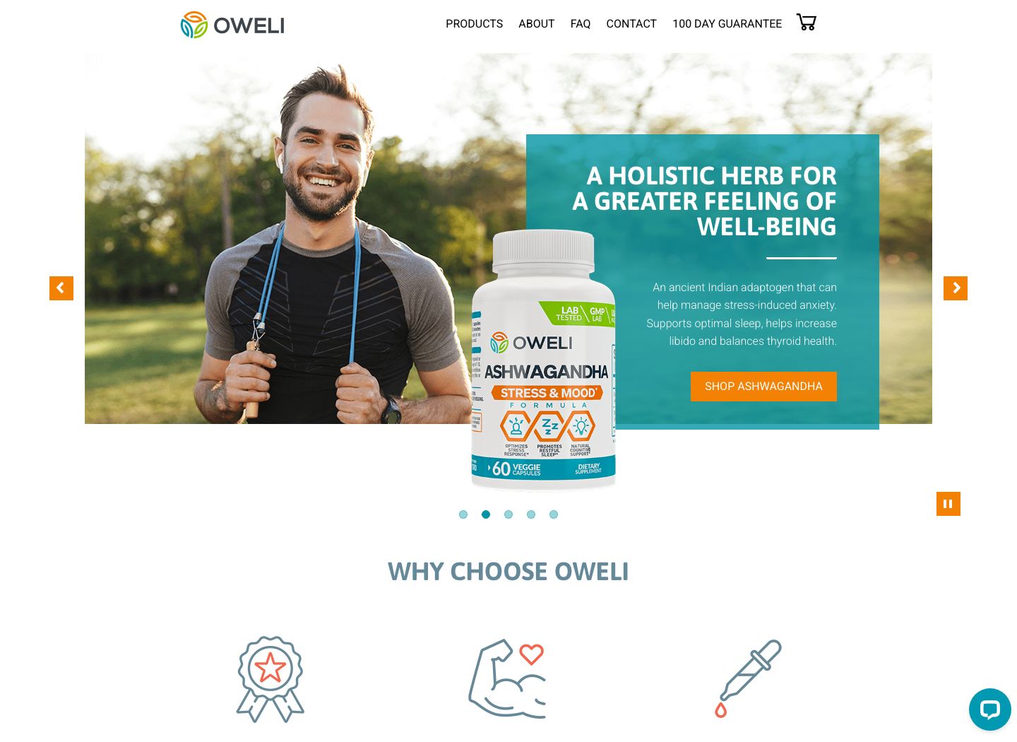 Oweli website screenshot